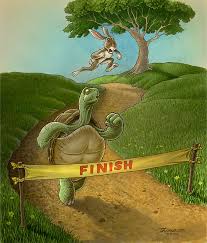 tortoise and the hare